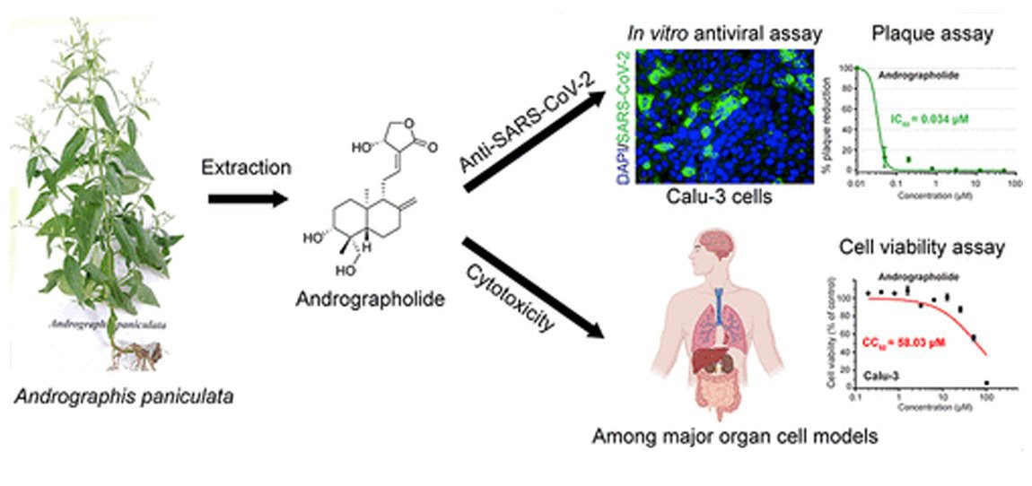 product-1150-542 Andrographolide 1