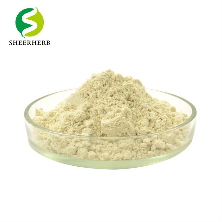 Mucuna Pruriens kukuni