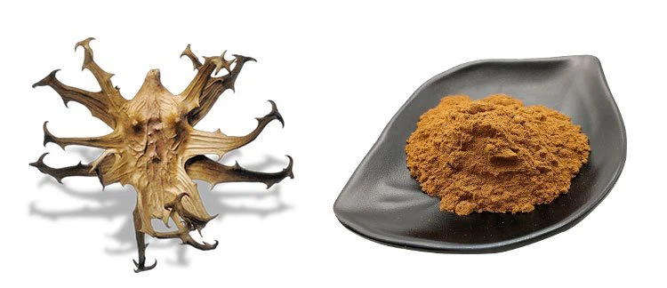 product-750-324 devil's-claw-extract-(8)