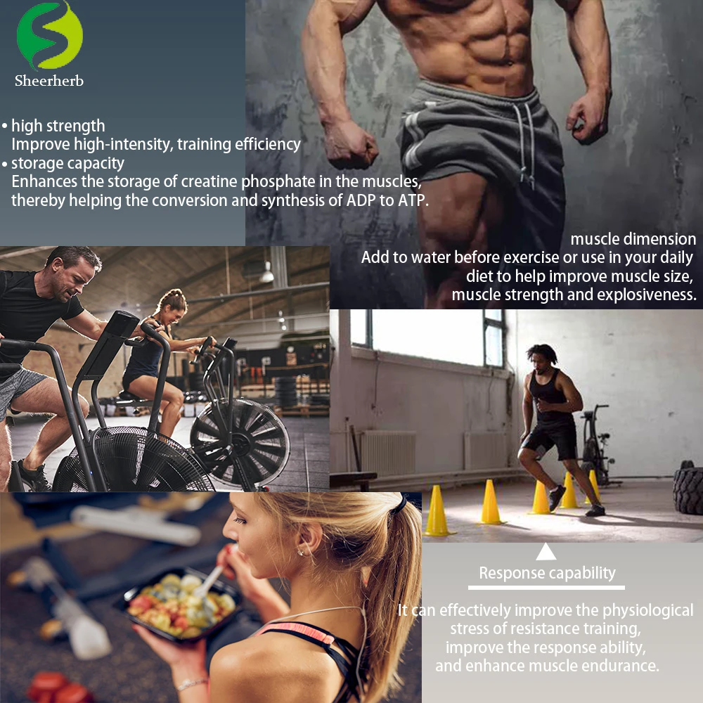 creatine Function
