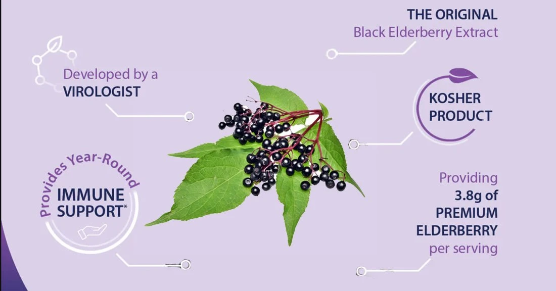 Elderberry Extract 6