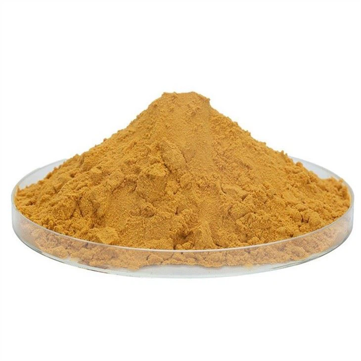 Zanjabil ekstrakti kukuni