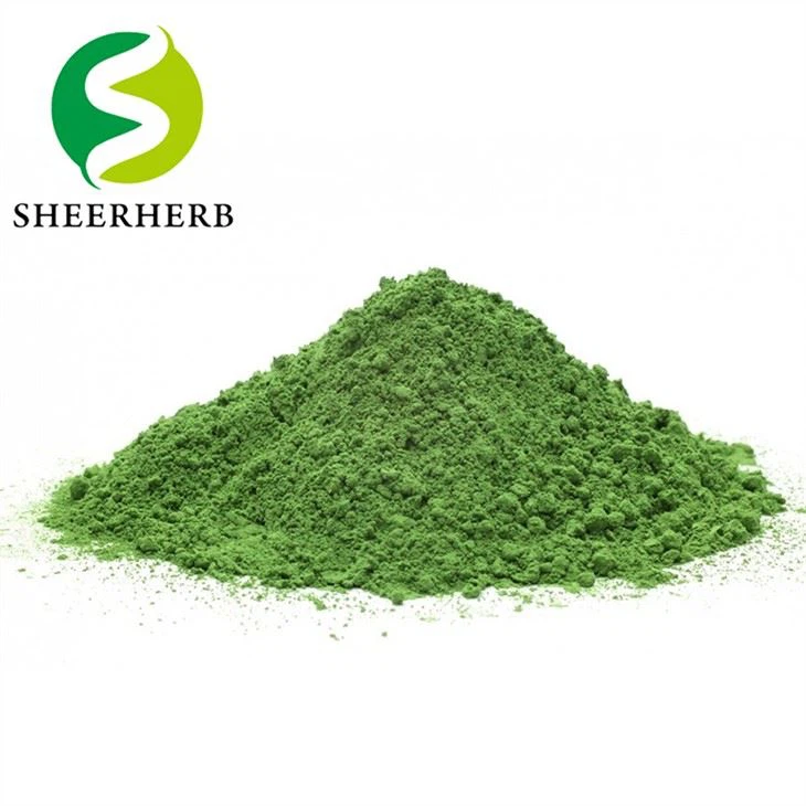 Moringa barglari ekstrakti kukuni
