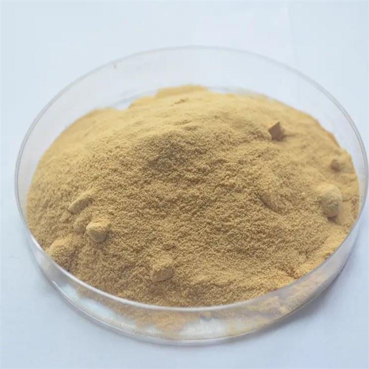 Silymarin kukuni