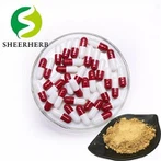 Ekdisteron kapsulalari