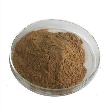 Sarsaparilla ekstrakti